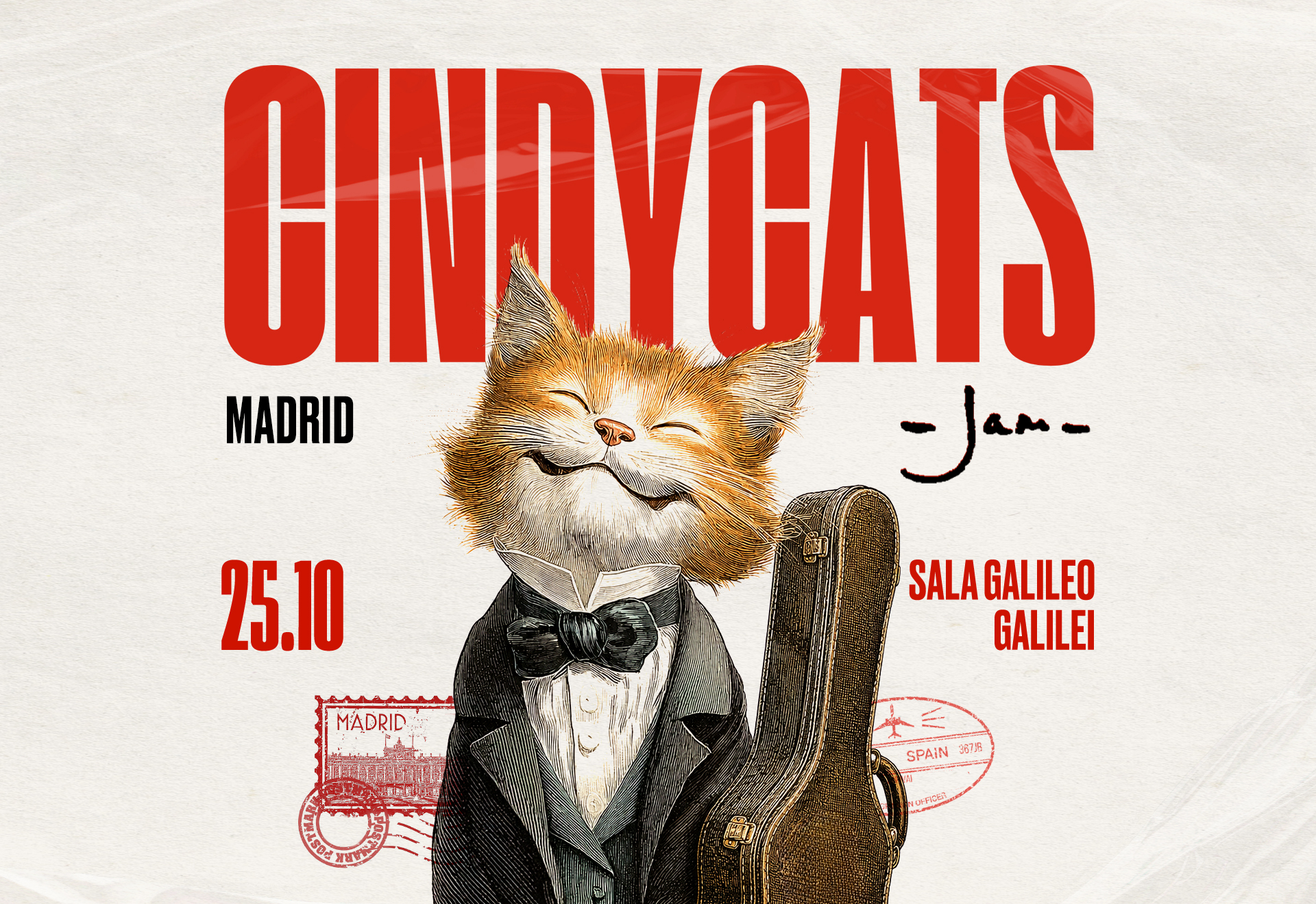cindycats mad 1920x1320